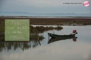 MadeinMycountry MadeinMycountryGR MadeinGreece Greece & Cyprus Nature