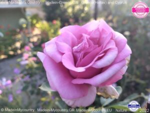 MadeinMycountry-MadeinMycountryGR-MadeinMycountyry-EU-Greece-Cyprus-Hellas-Madein-Greece-and-Cyprus-EU